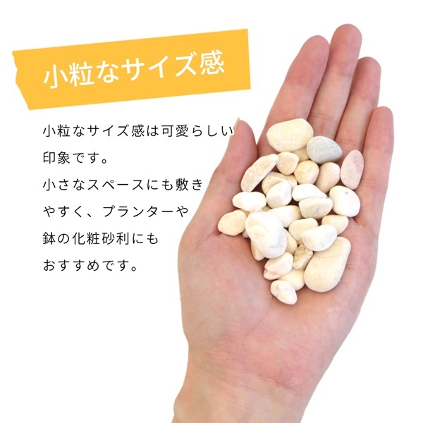 商品詳細ページ