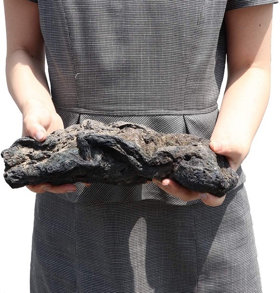 大量セット】 プレミアムモス付き 溶岩石 大量セット】 プレミアムモス