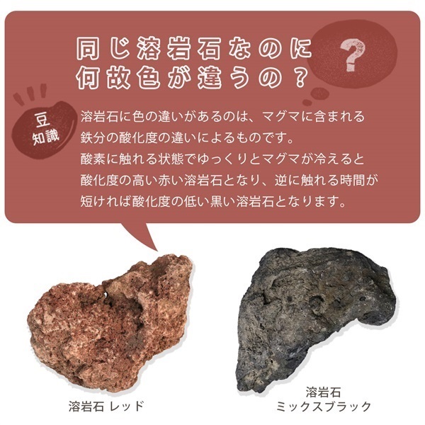 商品詳細ページ