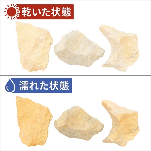 商品詳細ページ
