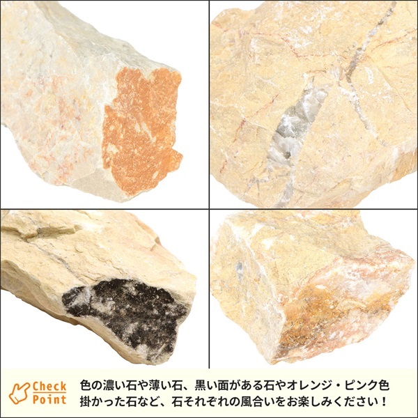 商品詳細ページ